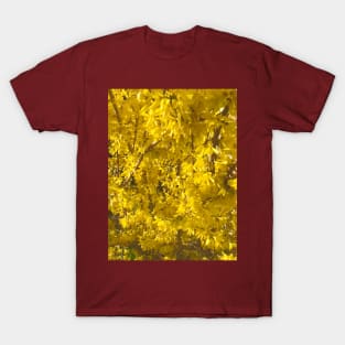 Forsythia Closeup T-Shirt